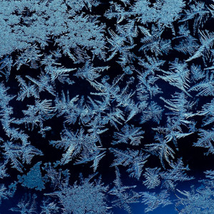 Варварины Морозы: что можно и нельзя делать 17 декабря 