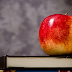 Во Владимирских школах появятся советники по воспитательной работе