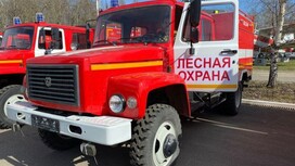 Во Владимирской области лето-2024 стало самым жарким и сухим за 5 лет