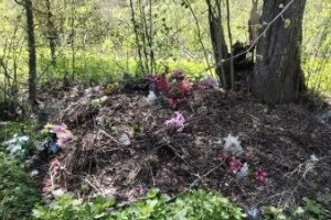 В Александровском районе насчитали 11 незаконных свалок у кладбищ