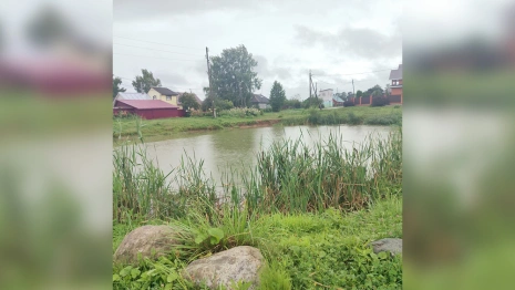 Смерть на глазах у пьяной матери. Что известно о гибели мальчика в пруду в Юрьев-Польском