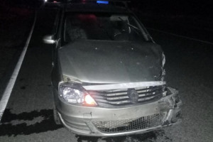 За неделю в ДТП на дорогах Владимирской области погибли 2 и пострадали 52 человека