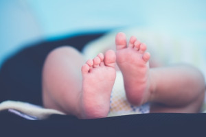 Во Владимире на подготовку предпроекта нового перинатального центра выделят 1,6 млн 