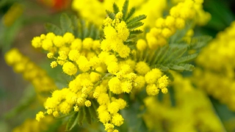 Прогноз погоды во Владимирской области на 9 марта
