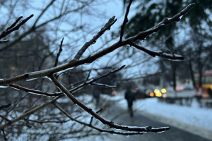 Прогноз погоды во Владимирской области на 12 января 2025 года