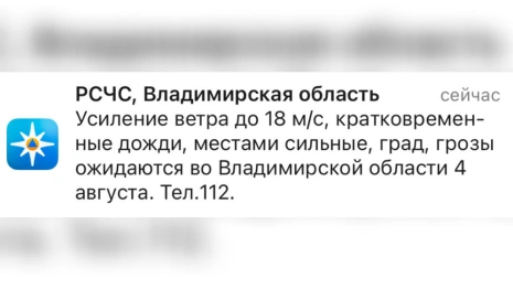 МЧС предупредило жителей Владимирской области о грозе и граде 4 августа