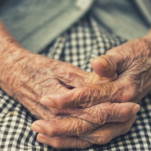 Пропавшую под Петушками 90-летнюю бабушку нашли живой