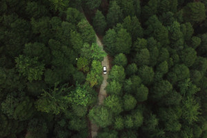Во Владимирской области парень покончил с собой после расставания с девушкой