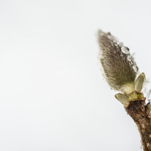 Во Владимирской области конец марта будет теплее нормы 
