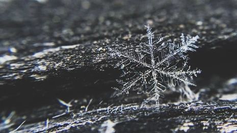 Прогноз погоды во Владимирской области на 2 декабря