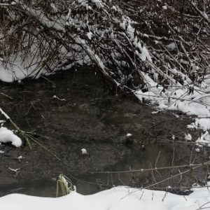 Состояние очистных сооружений в селе под Судогдой обернулось судом