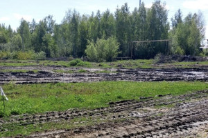 Многодетной семье из Меленок выдали участок на бездорожье