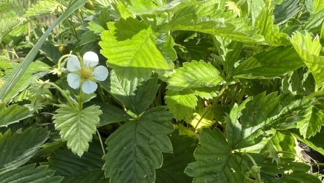 Прогноз погоды во Владимирской области на 3 июня 2025 года