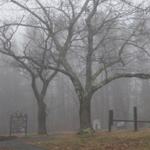 Убивший двух человек в Юрьев-Польском мужчина покончил с собой на кладбище