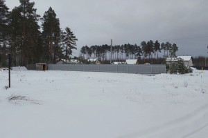 В Собинке 7 многодетным семьям выдали участки без дорог и инженерных коммуникаций