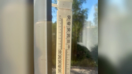 В Вязниках термометры показали +42 градуса