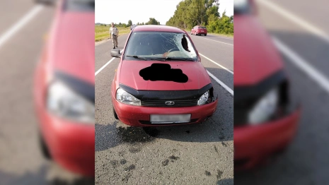 На трассе под Владимиром разбился 18-летний мотоциклист