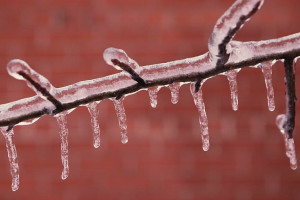 Прогноз погоды во Владимирской области на 9 декабря