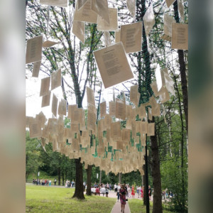 В Фатьяновском парке в Вязниках впервые появились тематические фотозоны