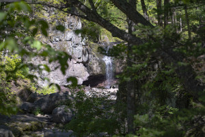 В нацпарке «Земля леопарда» открыта новая экотропа
