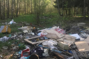 В Судогодском районе выросла огромная свалка на 500 кв. м.