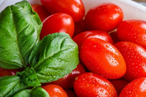 Прогноз погоды во Владимире и области на 10 июня 