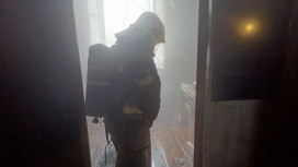 При пожаре в деревне под Муромом погибла 93-летняя бабушка