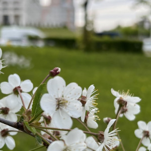 Прогноз погоды во Владимире и области на 1 мая