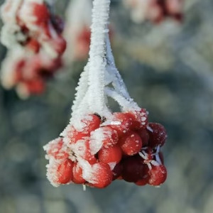 Народные приметы на 4 февраля: что можно и нельзя делать в Тимофеев день