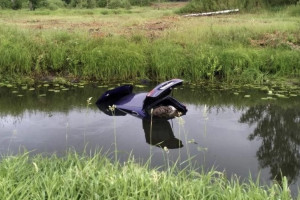 Во Владимирской области автомобилистка на иномарке улетела в пруд