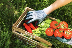 45 день Великого поста: что можно и нельзя делать 1 мая