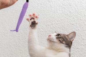 Народные приметы на 10 февраля: что можно и нельзя делать в Ефремов день