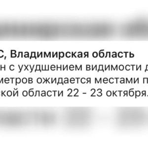 МЧС предупредило жителей Владимирской области о тумане и ухудшении видимости