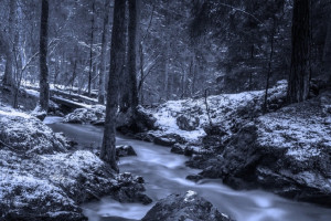 У найденного мертвым в Калининграде гусевчанина остались двое детей 