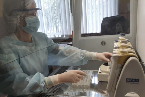 Во Владимирской области клещи укусили 114 взрослых и 38 детей