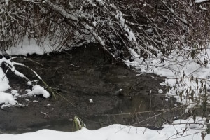 Состояние очистных сооружений в селе под Судогдой обернулось судом