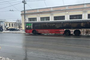 Работу общественного транспорта во Владимирской области сравнили с ДТП в Германии