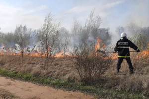 Очередной ландшафтный пожар вспыхнул в пойме Клязьмы под Владимиром