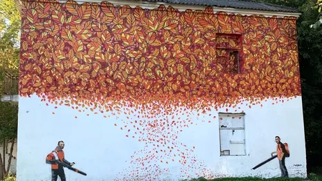 Дом с «осенним» граффити во Владимире решили снести