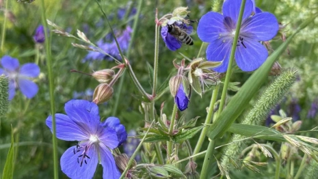 Настоящее тепло вернется во Владимирскую область в начале мая