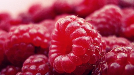 День Космы и Дамиана: что можно и нельзя делать 14 июля