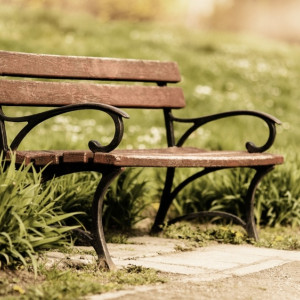 Закупка лавочек в Муроме обернулась судом