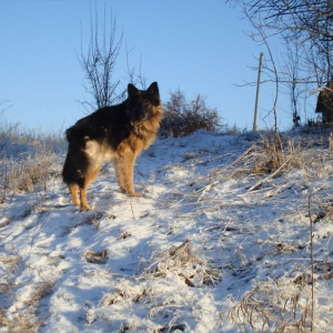 Приметы на 29 января: что можно и нельзя делать в день поклонения веригам апостола Петра