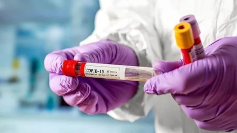 Во Владимирской области за сутки выявили 2047 новых случаев заражений ковидом