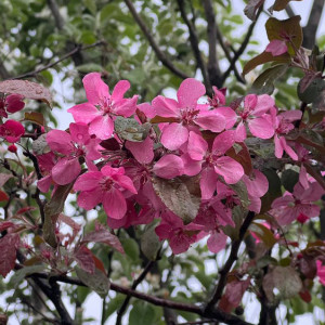 Жителям Владимирской области пообещали потепление до +19 градусов и дождь