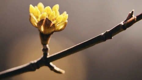 Прогноз погоды во Владимирской области на 22 марта