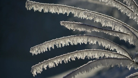 Морозы до -14 вернутся во Владимир