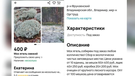 Из заказника во Владимирской области вывезли мох на 1 млн рублей