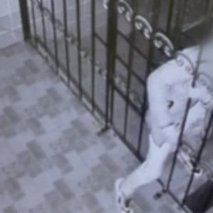 Во Владимирской области вор-неудачник застрял в заборе стоматологии