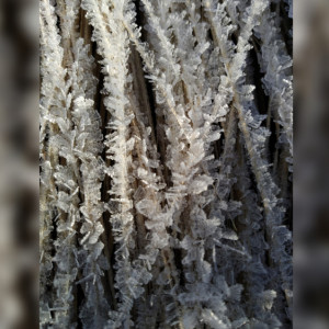 Во Владимирской области наступила метеорологическая зима